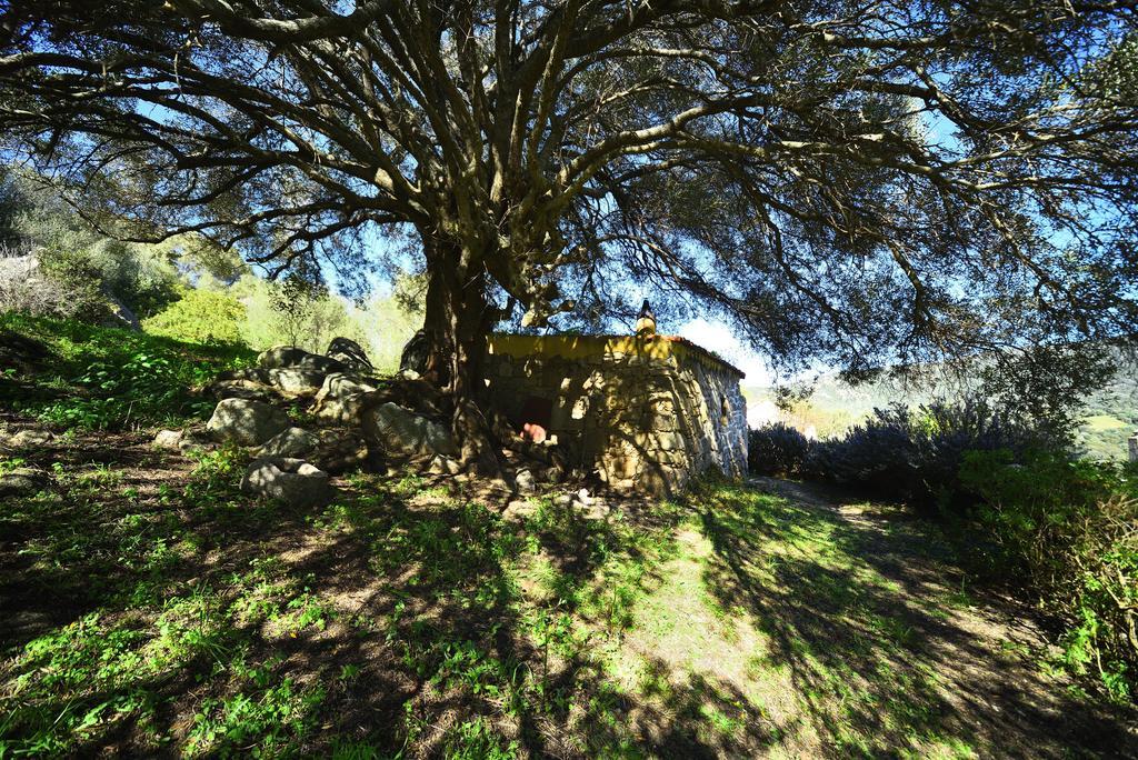 Lu Rotu Villa Sant'Antonio di Gallura Buitenkant foto