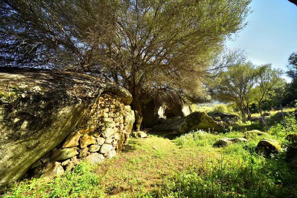 Lu Rotu Villa Sant'Antonio di Gallura Buitenkant foto