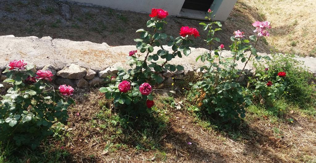 Lu Rotu Villa Sant'Antonio di Gallura Buitenkant foto